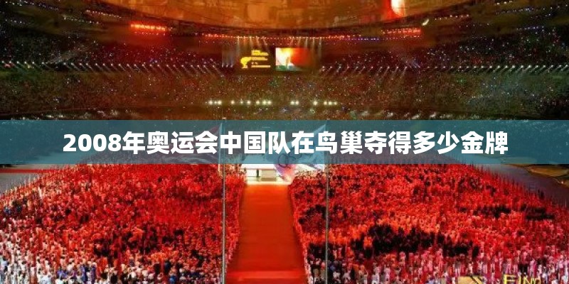 07款福克斯自动挡顶配