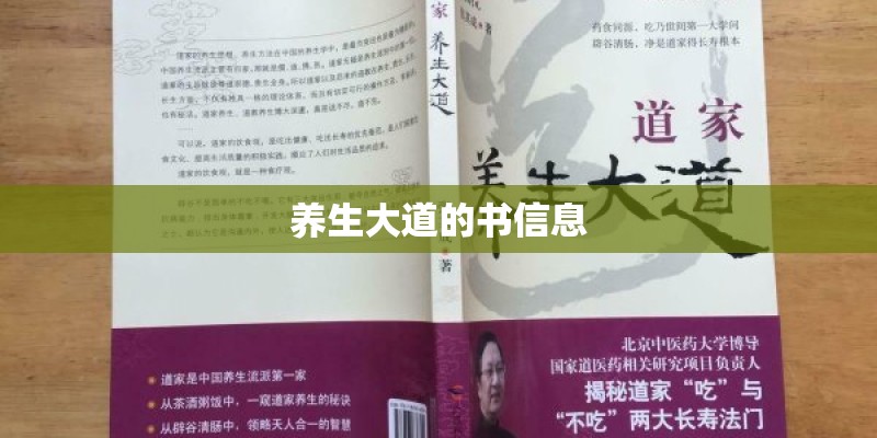 07款福克斯自动挡顶配