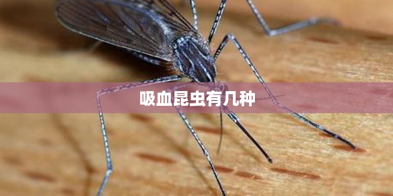 吸血昆虫有几种