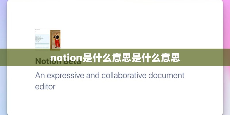 notion是什么意思是什么意思