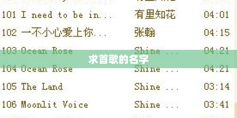 求首歌的名字