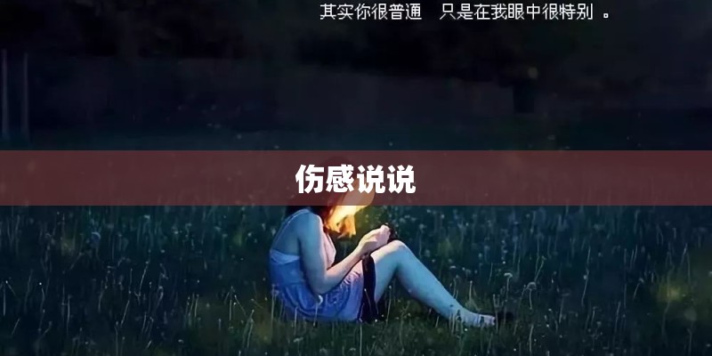 伤感说说