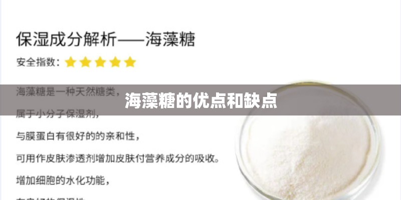 新裤子《我爱你》简谱