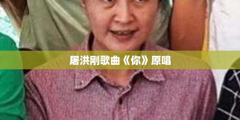 屠洪刚歌曲《你》原唱
