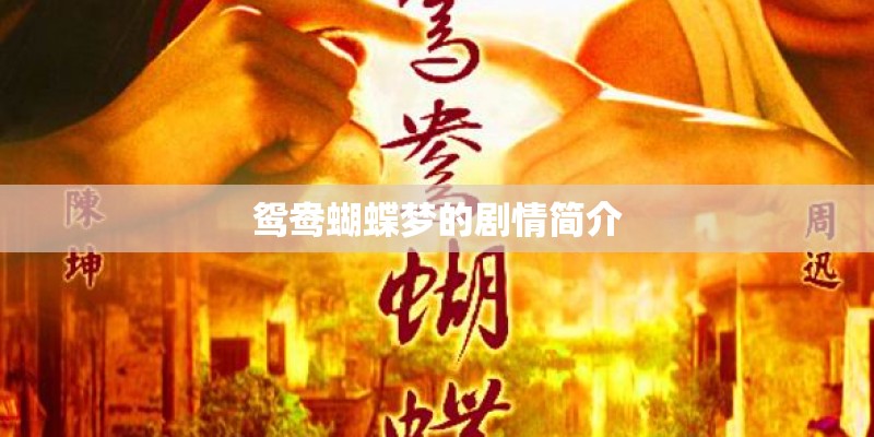 鸳鸯蝴蝶梦的剧情简介