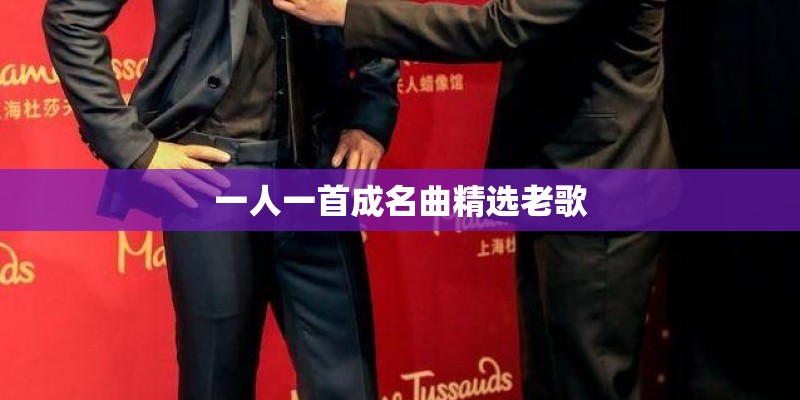 一人一首成名曲精选老歌