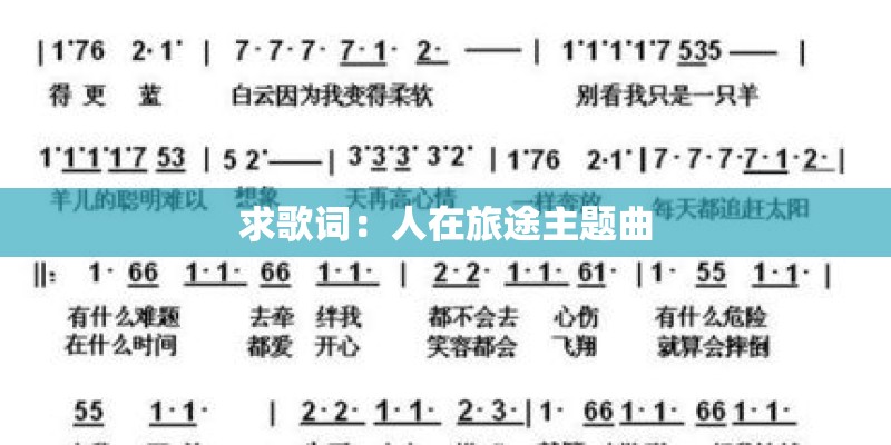 多肉爱喝什么水
