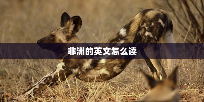富阳财富中心交通方便吗？