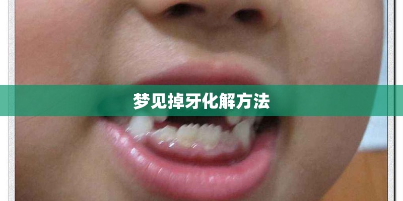北京室外适合种什么花-