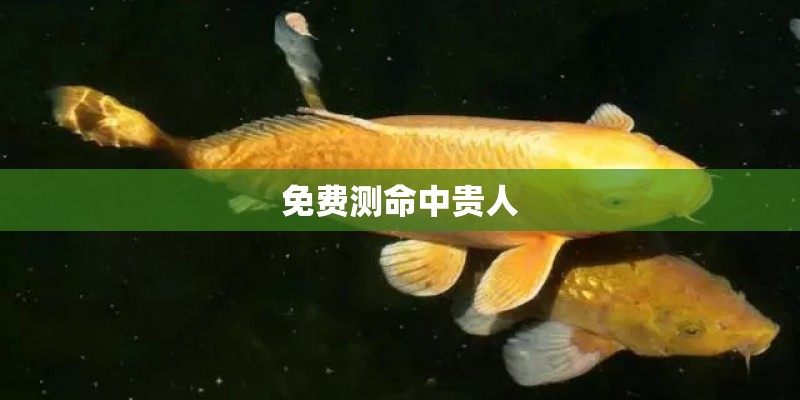 20万也能买中大型SUV？