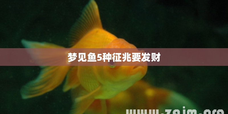 东风日产天籁价格