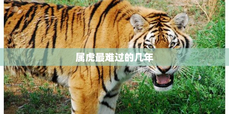英语teaching method主要有哪些