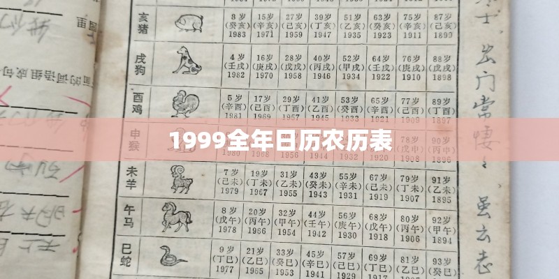 蜗牛与黄鹂鸟儿歌原唱