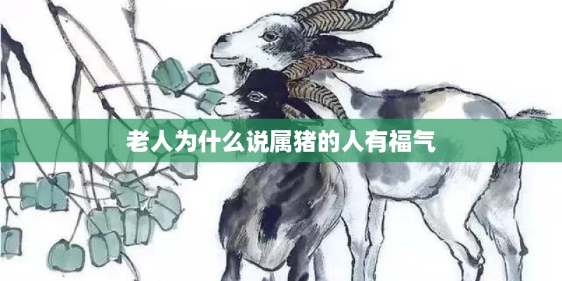 老人为什么说属猪的人有福气