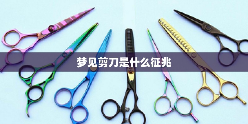 蜗牛与黄鹂鸟儿歌原唱