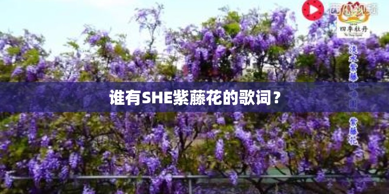 谁有SHE紫藤花的歌词？