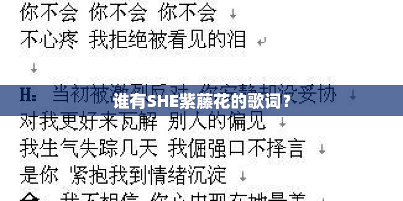 谁有SHE紫藤花的歌词？