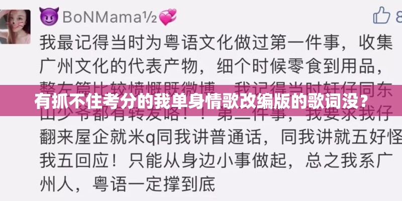 有抓不住考分的我单身情歌改编版的歌词没？