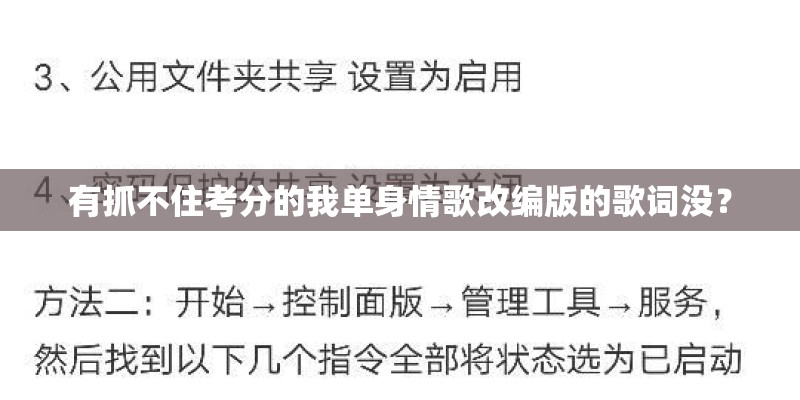 有抓不住考分的我单身情歌改编版的歌词没？