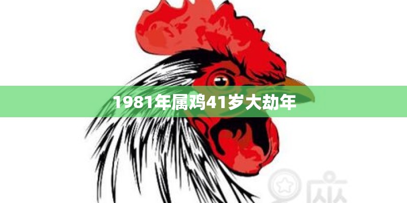 1981年属鸡41岁大劫年