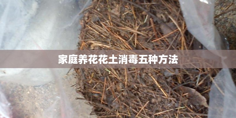家庭养花花土消毒五种方法