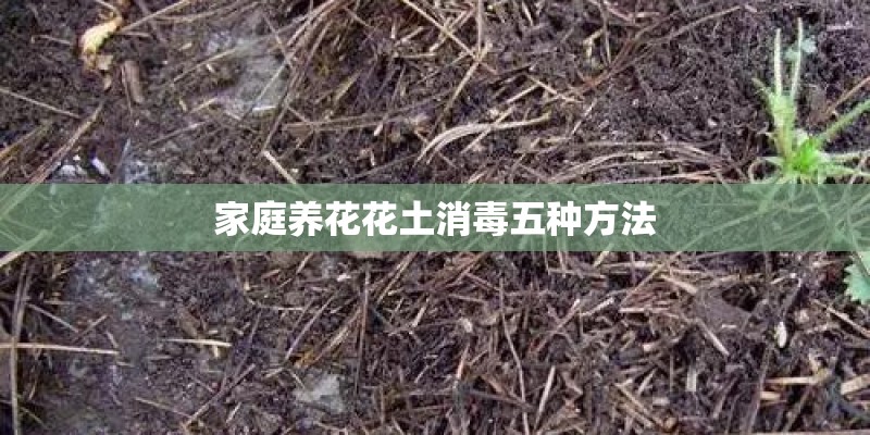 家庭养花花土消毒五种方法