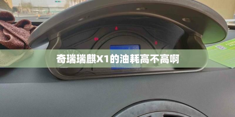 奇瑞瑞麒X1的油耗高不高啊