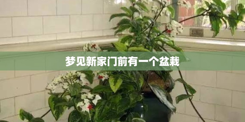 梦见新家门前有一个盆栽 梦见新家门前有一个盆栽
