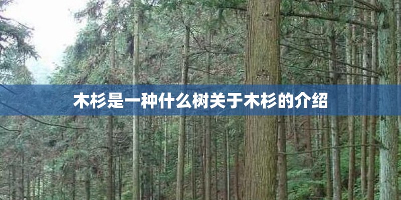 z104列车最新时刻表停靠站