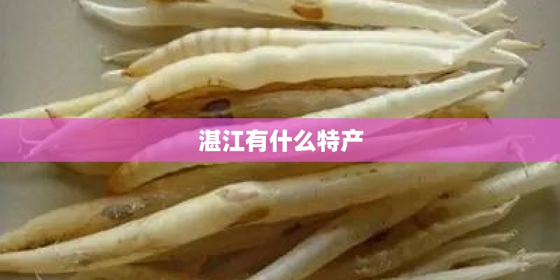 湛江有什么特产