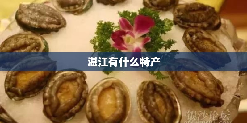 湛江有什么特产