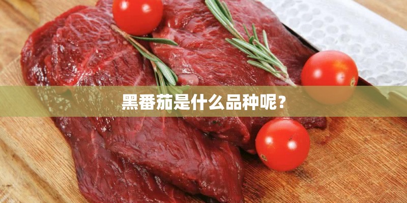 黑番茄是什么品种呢？