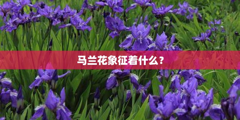 凯翼c3自动档怎么样
