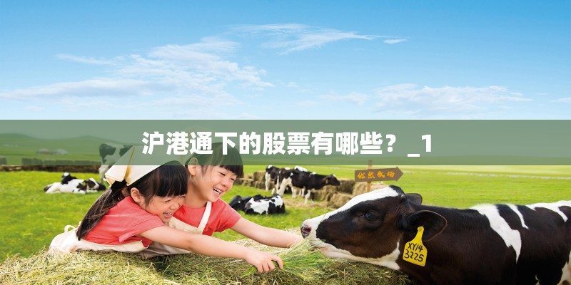 沪港通下的股票有哪些？_1