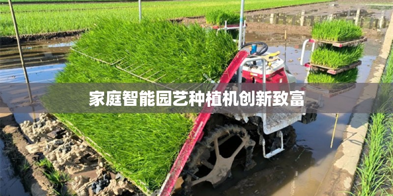 家庭智能园艺种植机创新致富