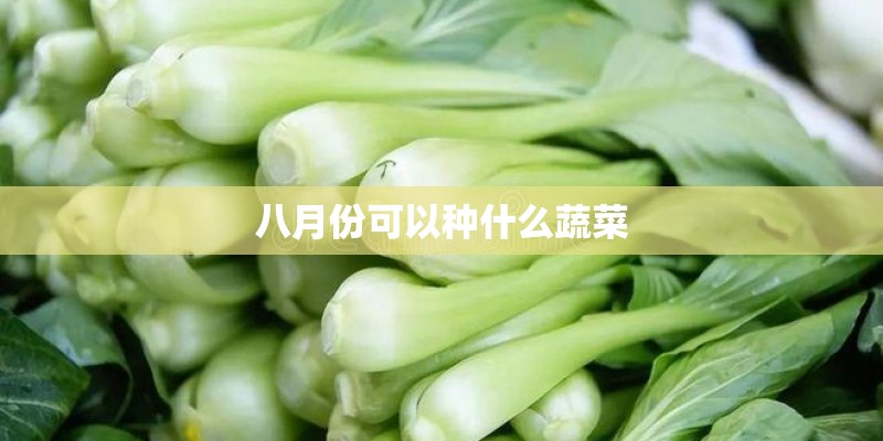 草本植物种类有哪些