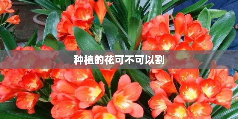 今天张家口下雨吗