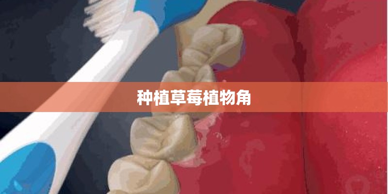 青黛是什么？