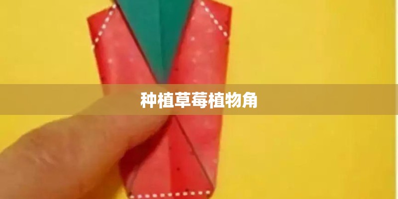种植草莓植物角