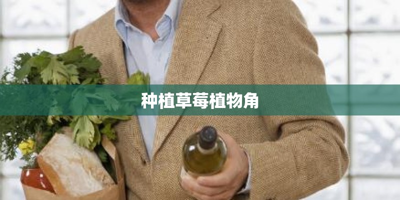 种植草莓植物角