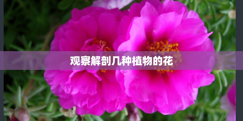“战疫”全面打响 车市将何去何从 看看这“三大猜想”？