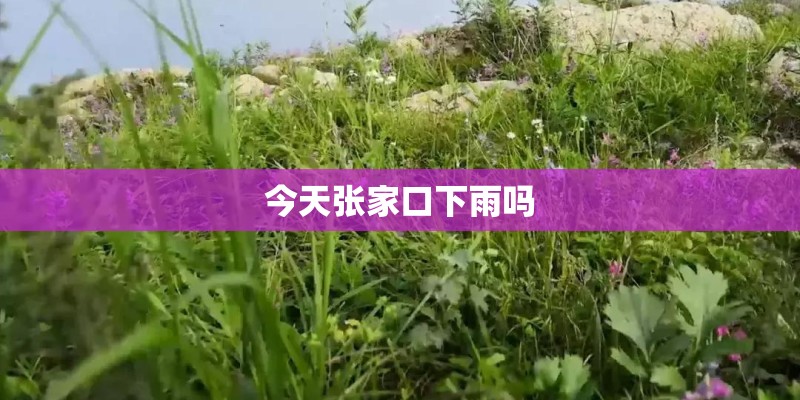 今天张家口下雨吗