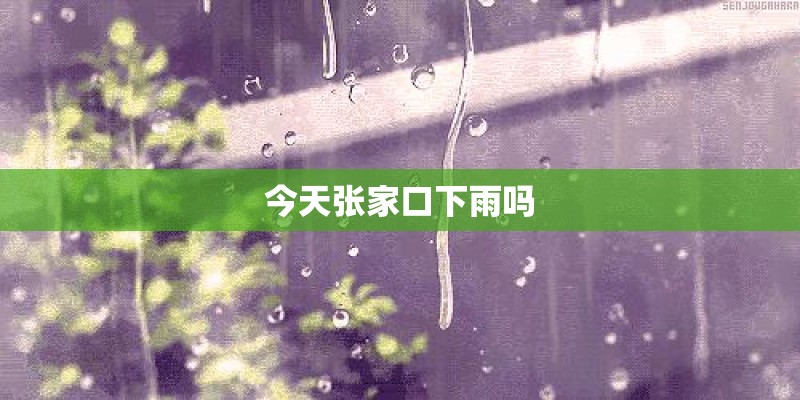 今天张家口下雨吗