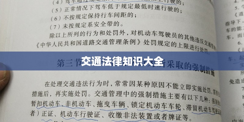 交通法律知识大全