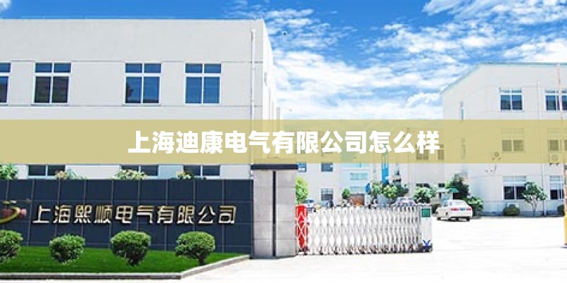 上海迪康电气有限公司怎么样 上海迪康电气有限公司怎么样