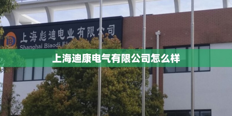 上海迪康电气有限公司怎么样 上海迪康电气有限公司怎么样