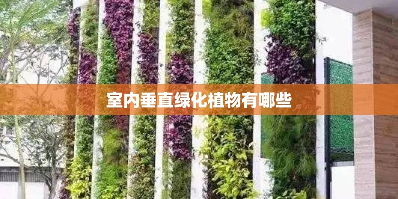 上海迪康电气有限公司怎么样