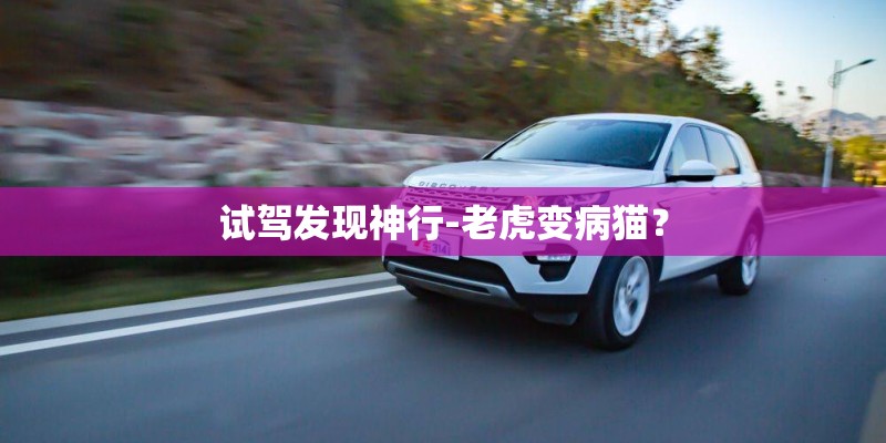 试驾发现神行-老虎变病猫？