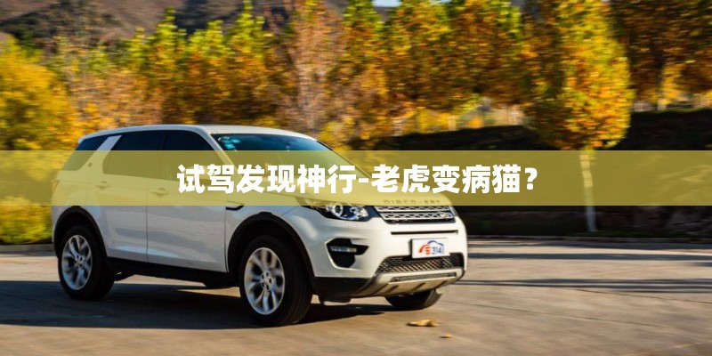 试驾发现神行-老虎变病猫？