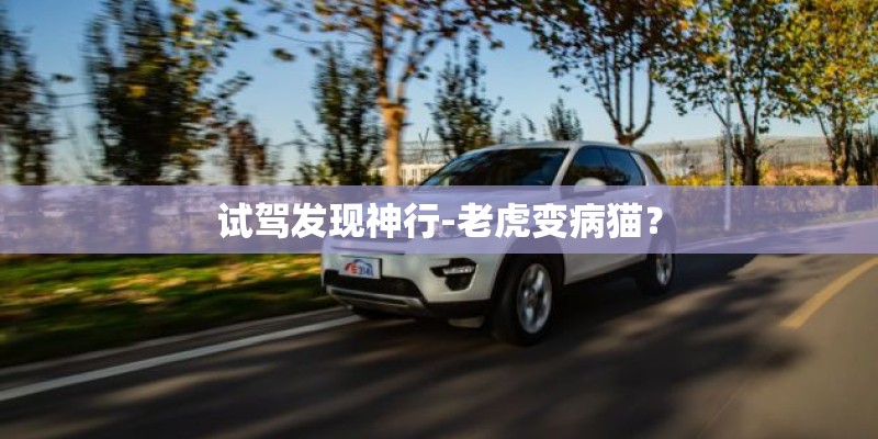 试驾发现神行-老虎变病猫？
